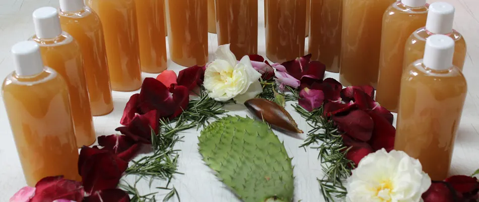 A semi circle of bottles filled with an orange liquid, with roses, herbs and a cactus leaf in the centre.