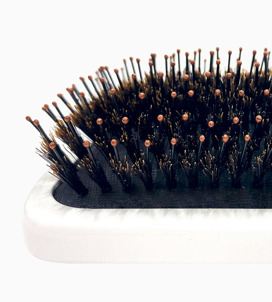 Zoomed in view of a white hair brush with black bristles.